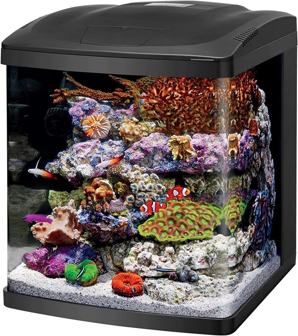 Coralife LED BioCube Aquarium Kit